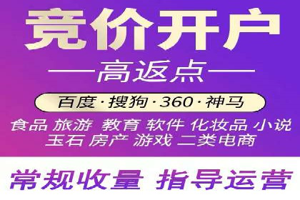 行业领先企业的SEM广告投放策略案例